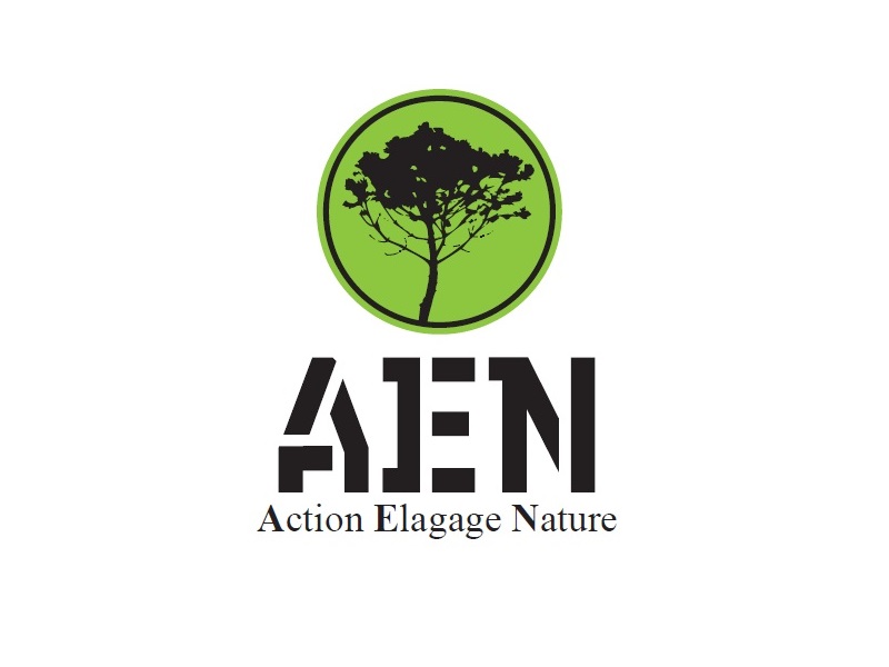 Action Elagage Nature Action Elagage Nature