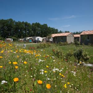 Camping des sources—© Camping des sources