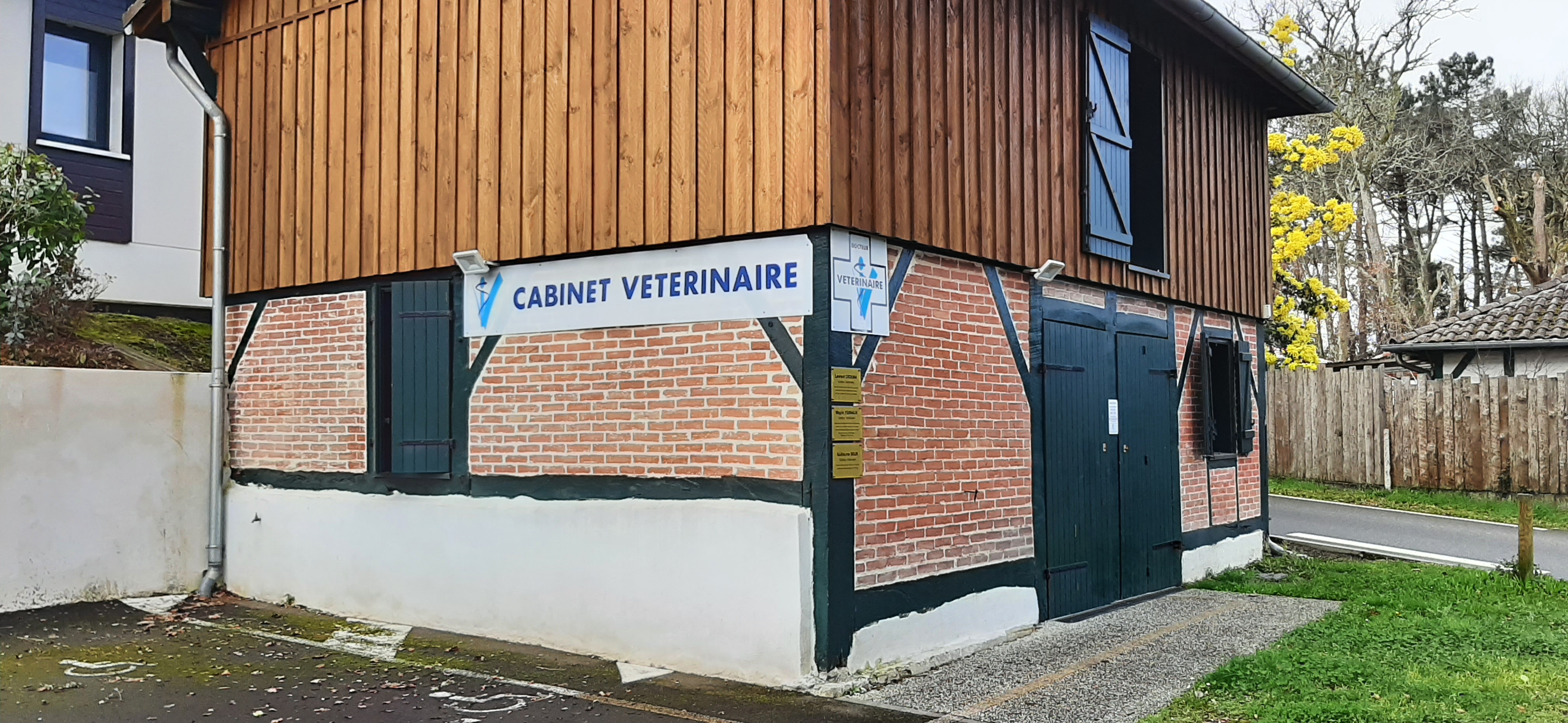 LEON_Vétérinaire