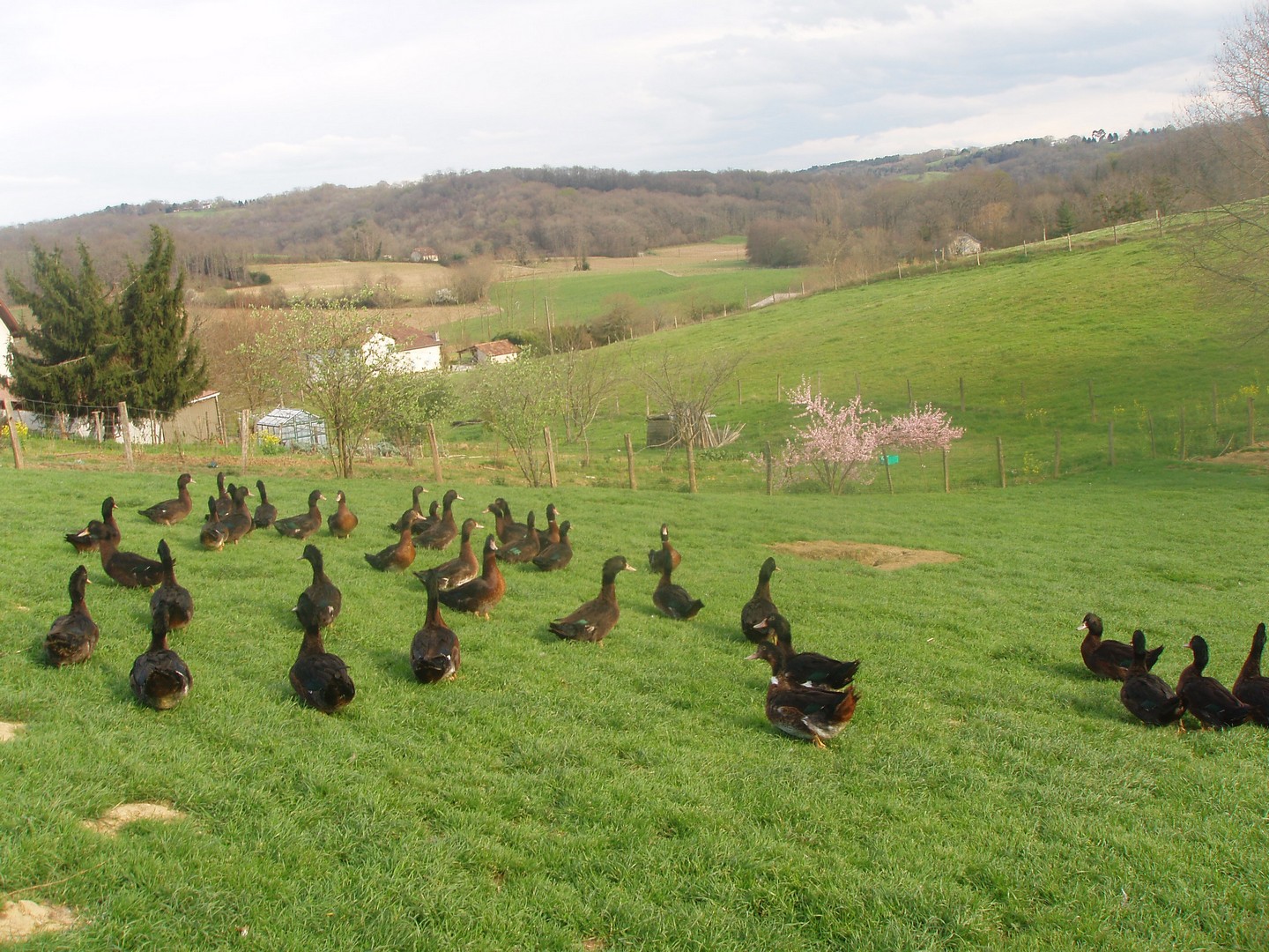 Ferme de la motte aux oies