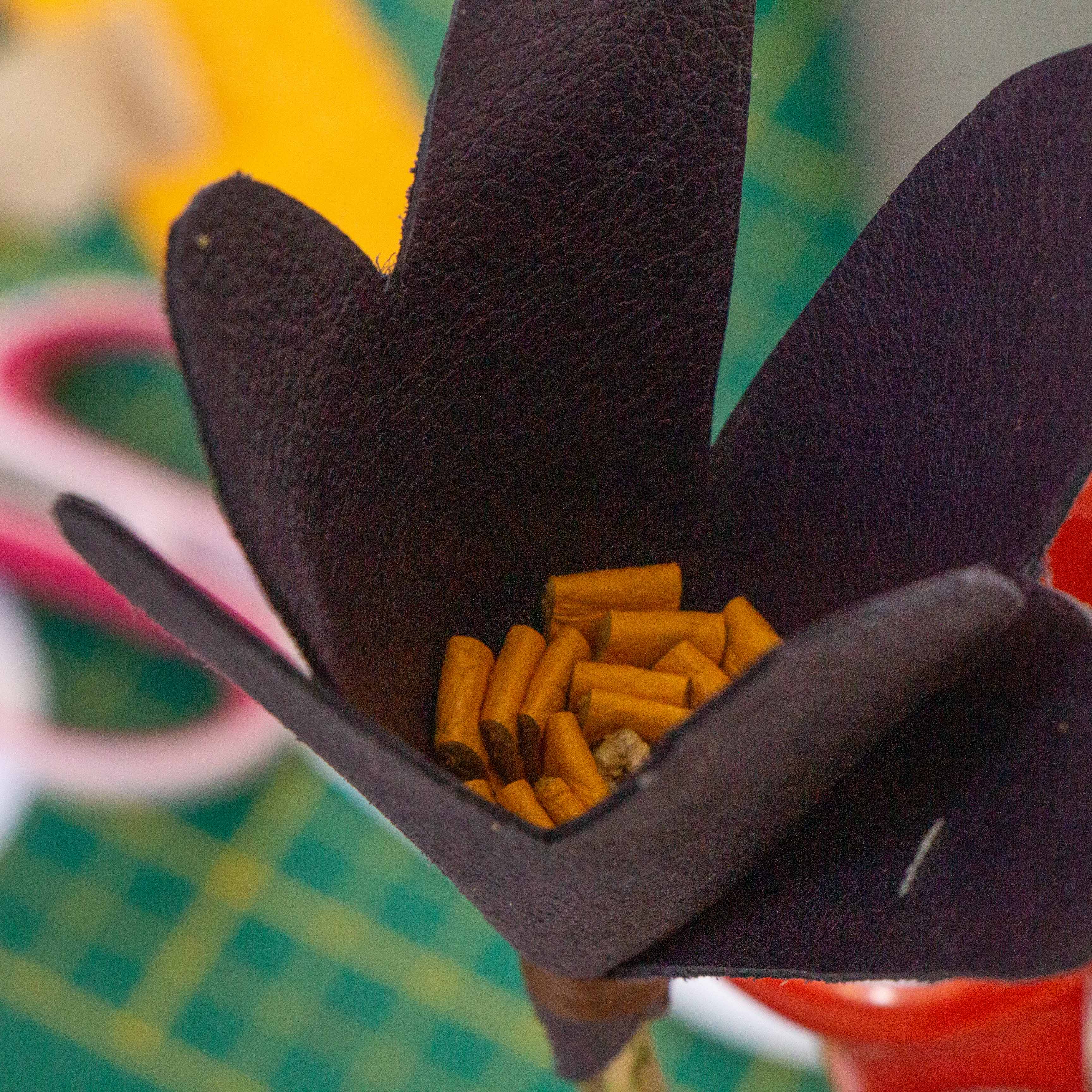 Atelier : Fleur de peau