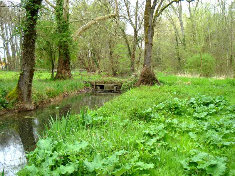 Bocage humide des bords de Garonne