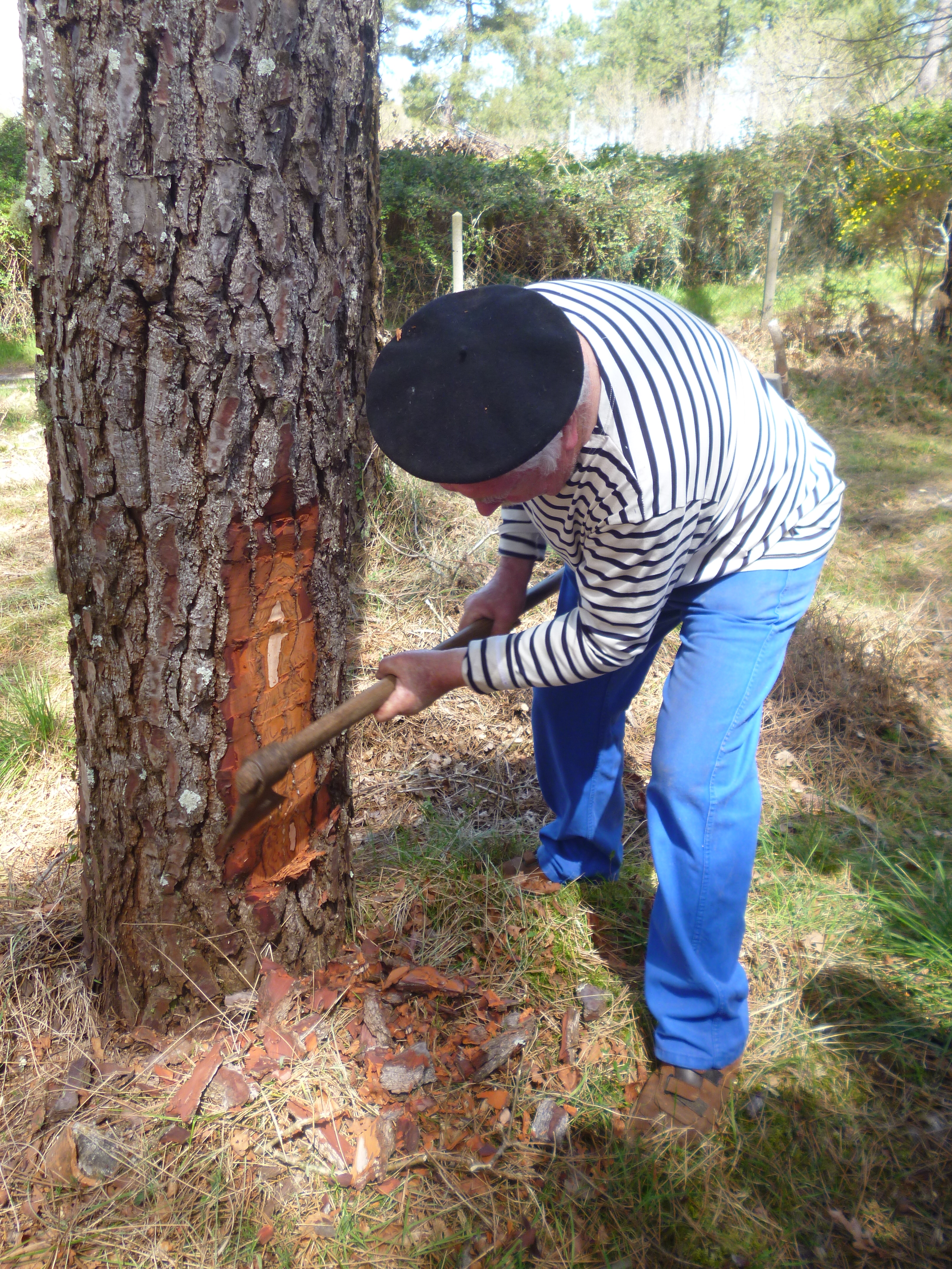 Portes ouvertes - La Maison de la gemme, temps des résiniers