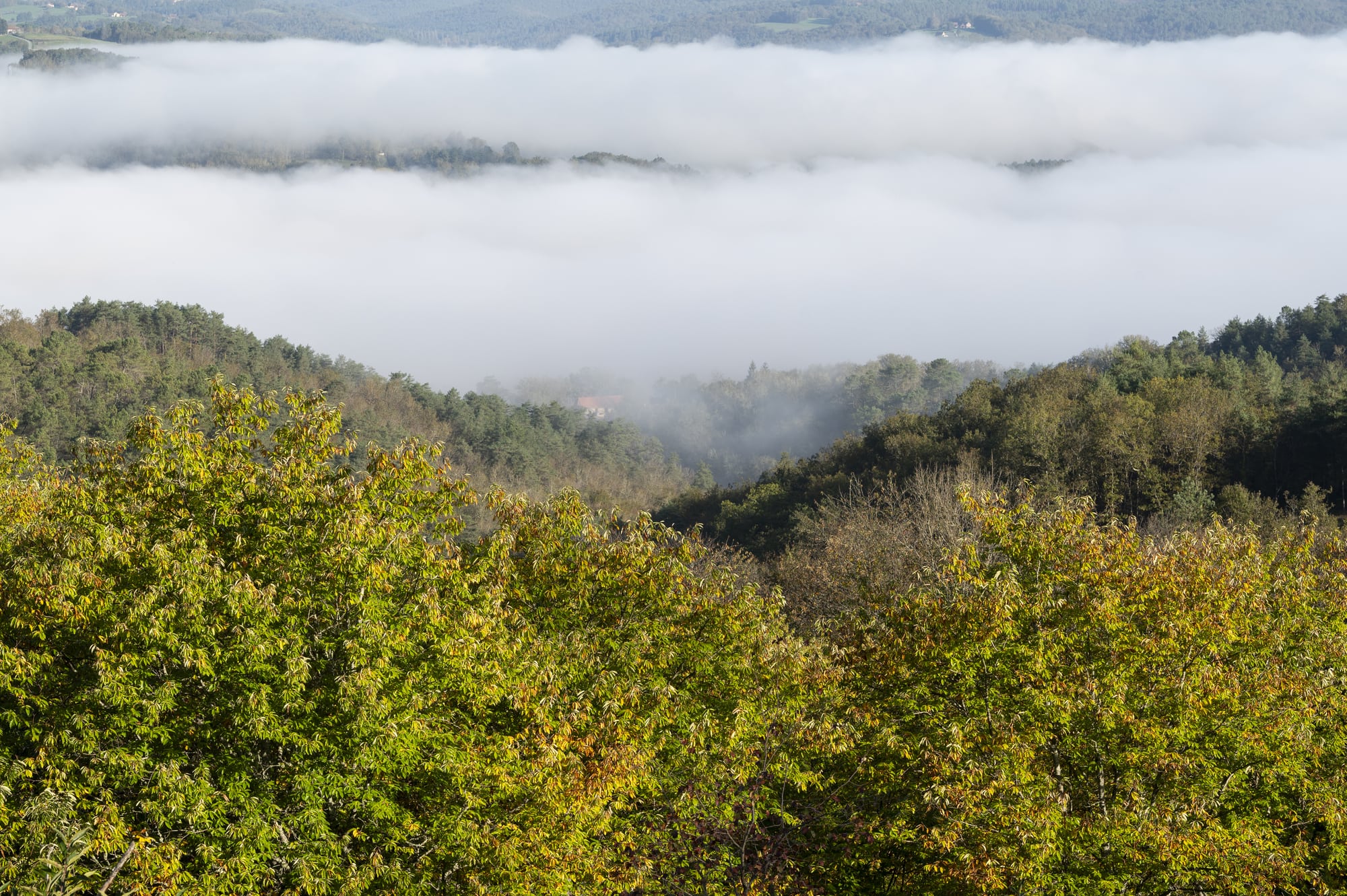 Conversation marchée et expérience sensorielle sur le paysage