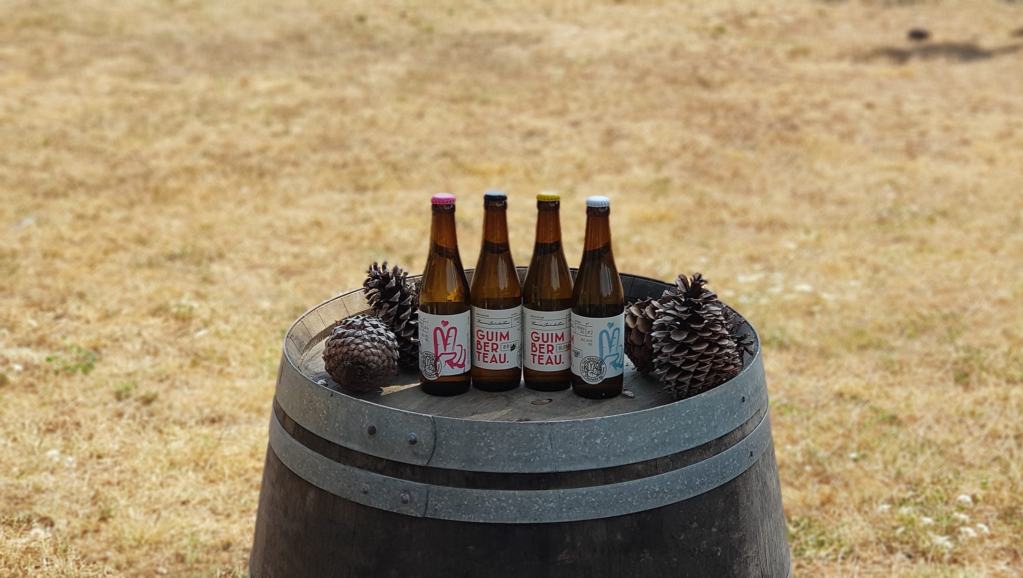 Victoire ! De la Vigne à la Bière - Maison Douze