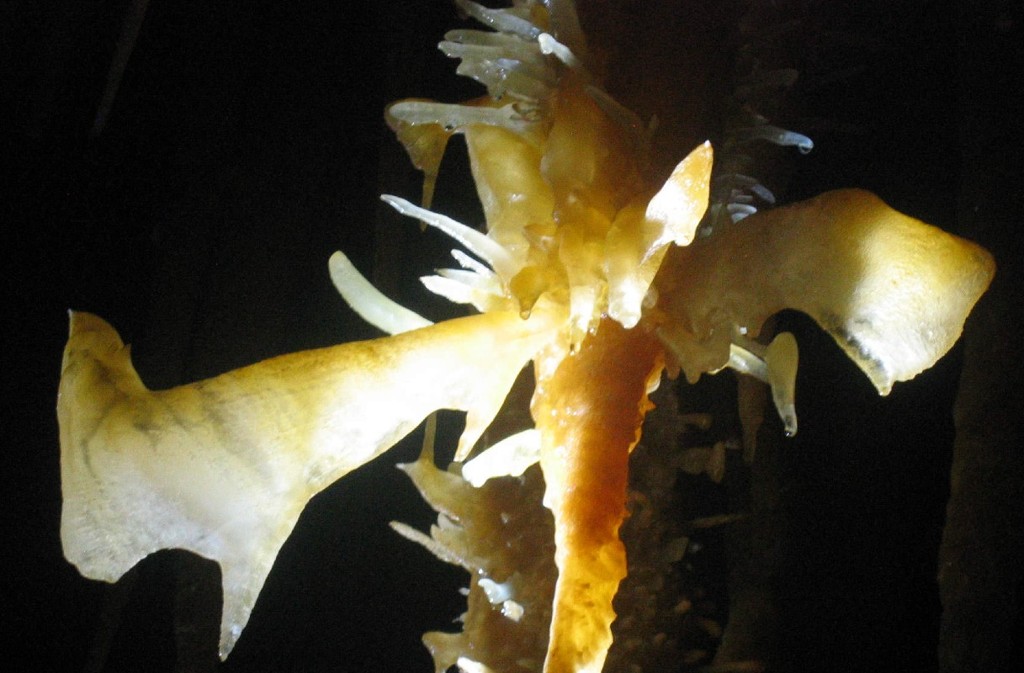 Grotte de Maxange