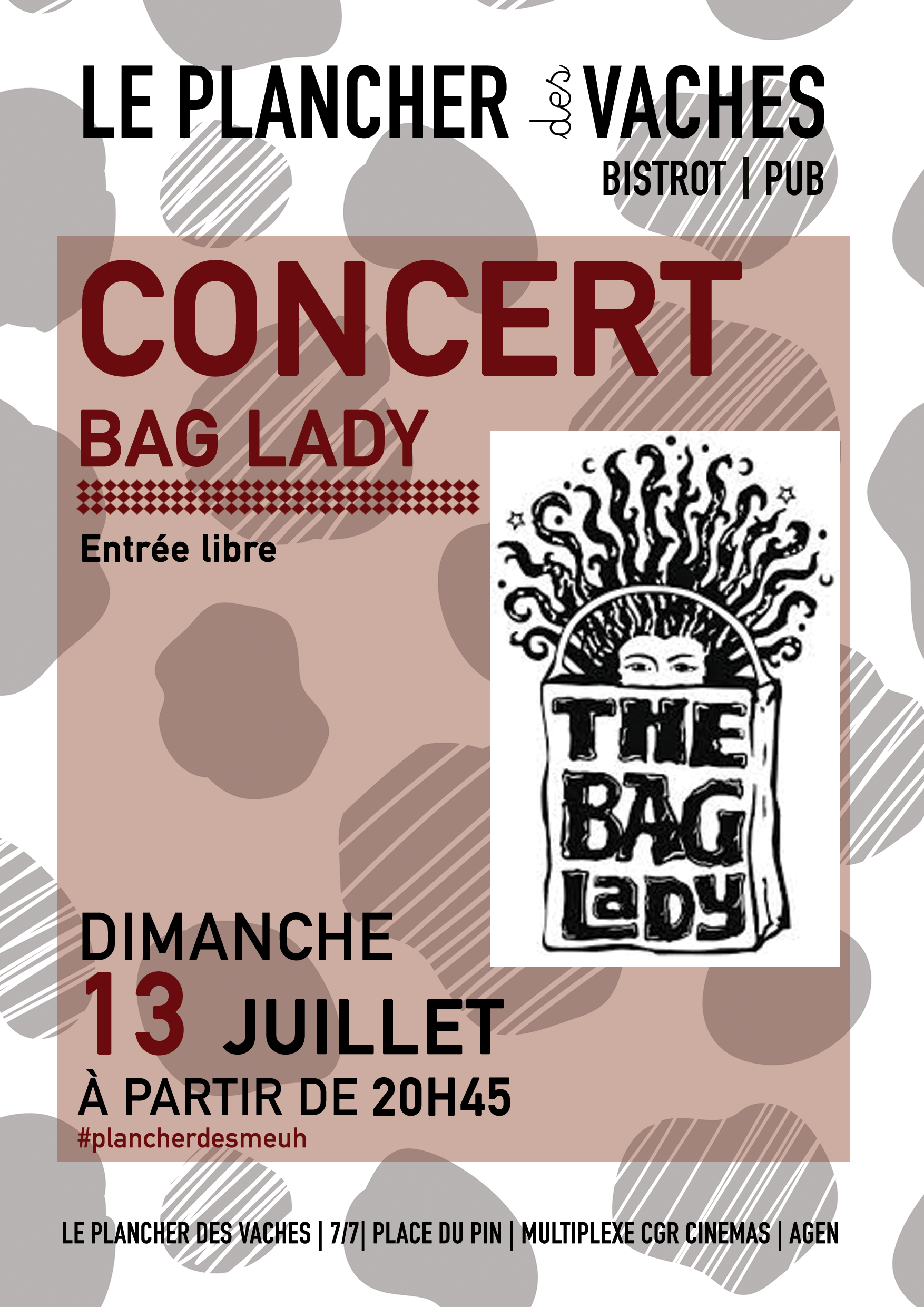 Concert Pop & Groove : The Bag Lady