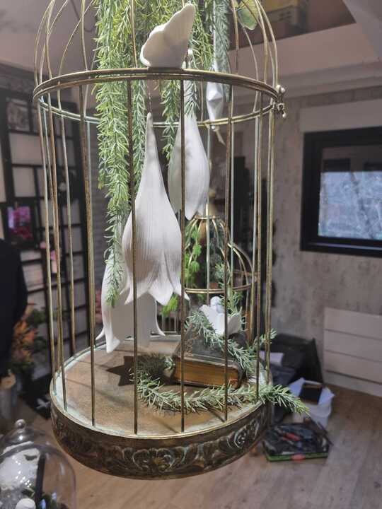 SG Design-Art