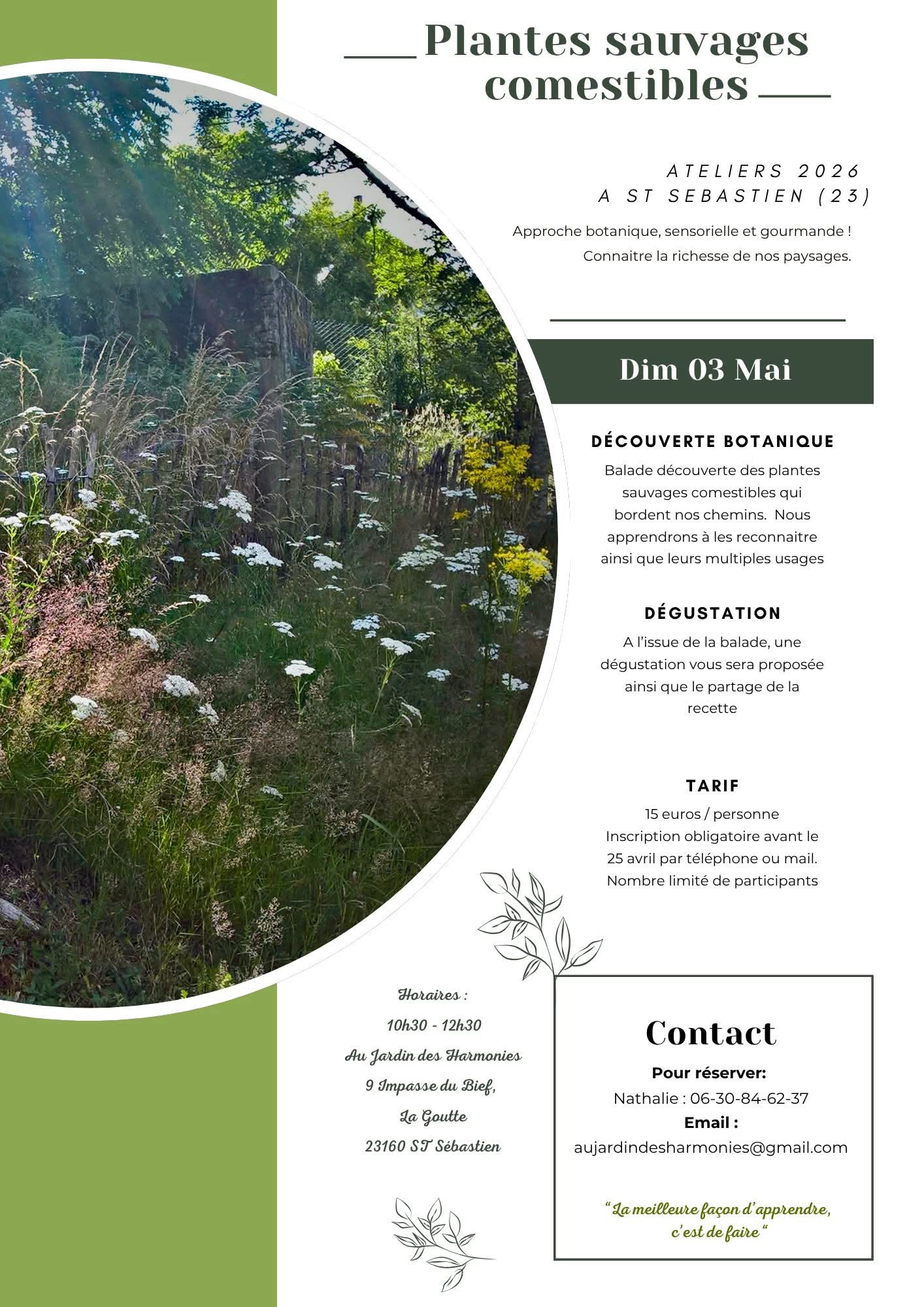 Atelier Plantes sauvages comestibles