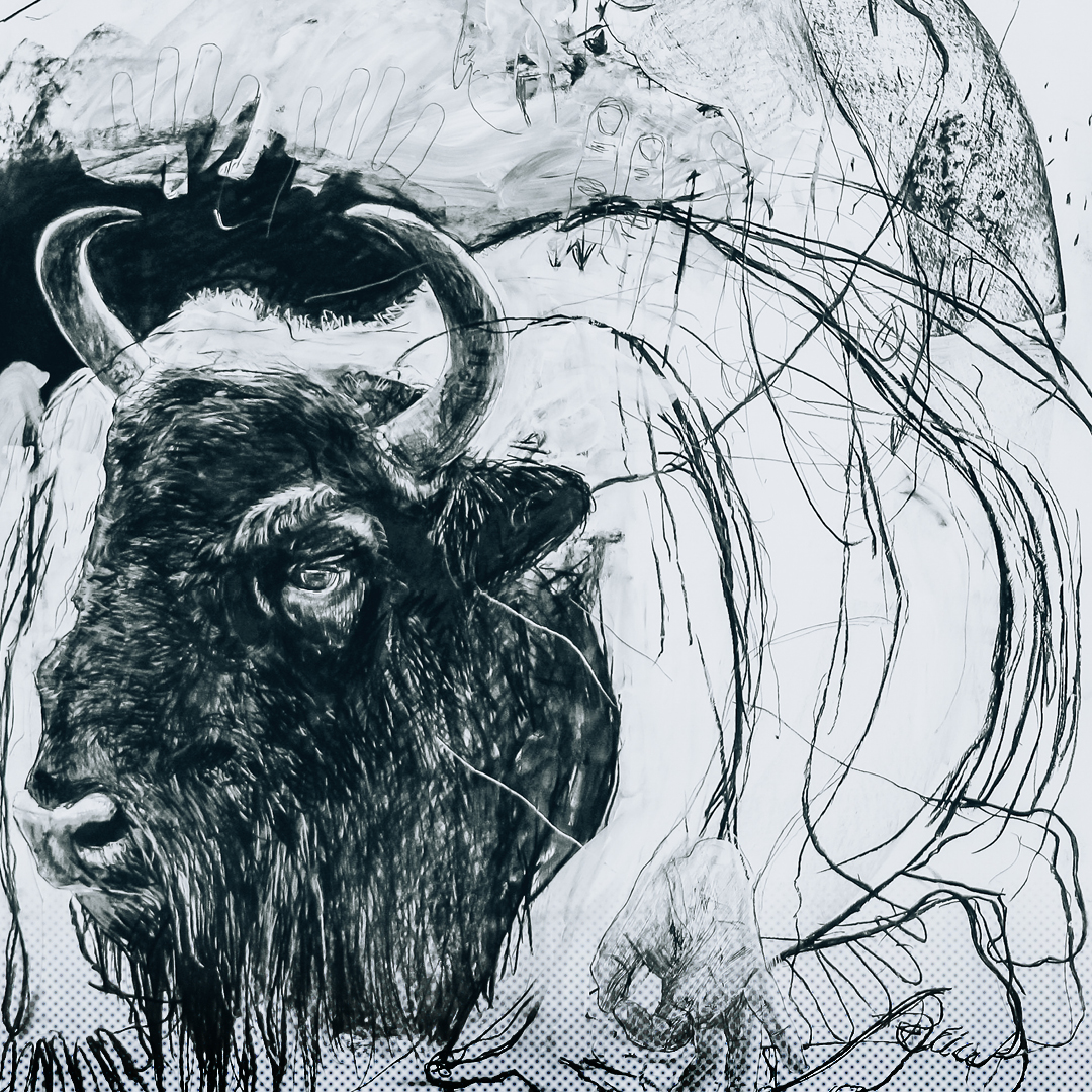 Métamorphose(s) : Exposition par Benjamin Bondonneau