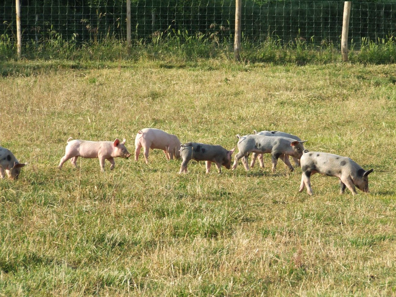 La Ferme de La Mantellerie