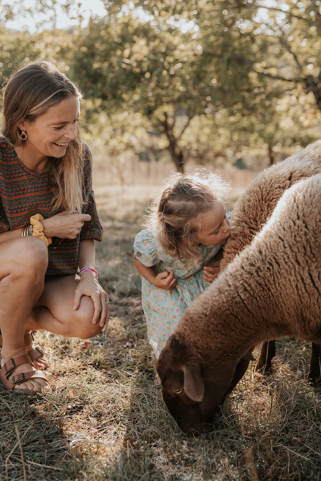 Domaine Saint Amand, Coly-Saint-Amand - photo 6