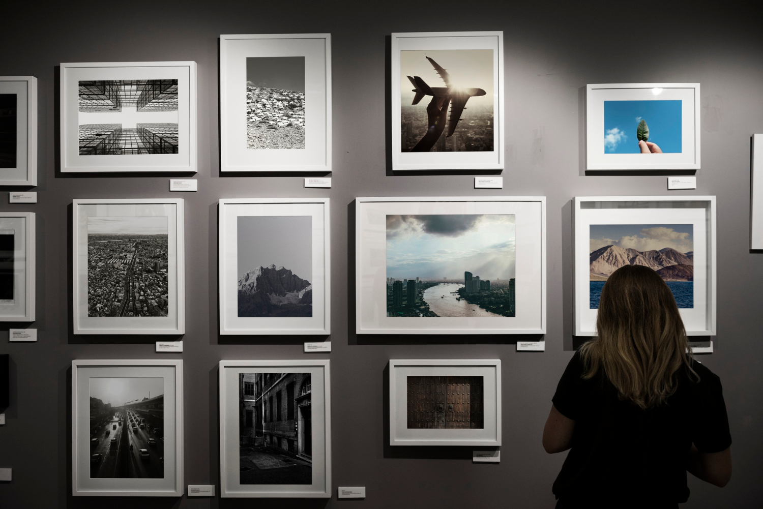 Exposition annuelle du Photo Vidéo Club