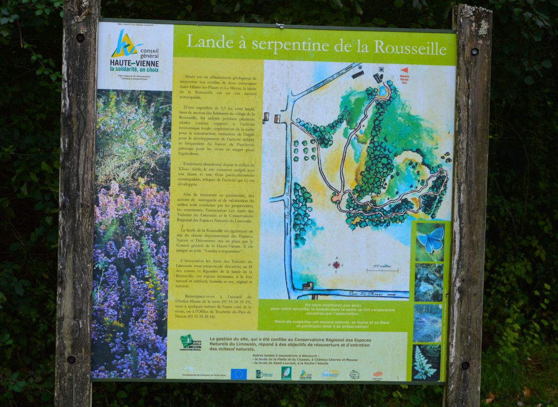 La Lande à serpentine de la Rousseille