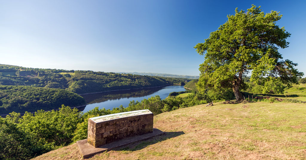 Site de la Vie