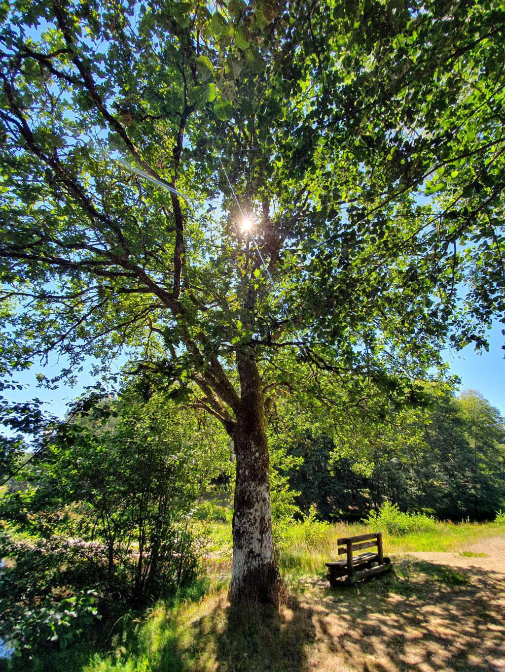 Domaine Eden lake, Égletons - photo 23