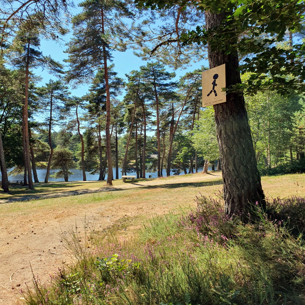 Domaine Eden lake, Égletons - photo 21