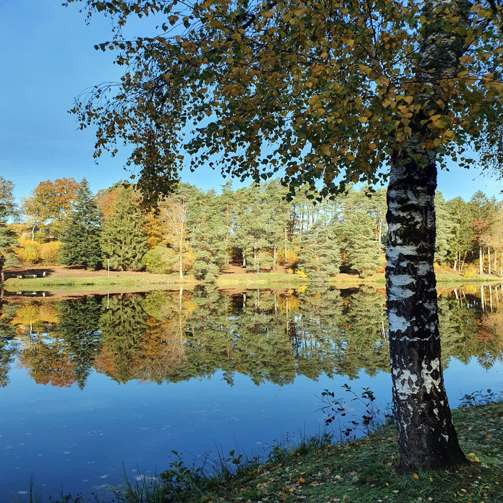 Domaine Eden lake, Égletons - photo 16