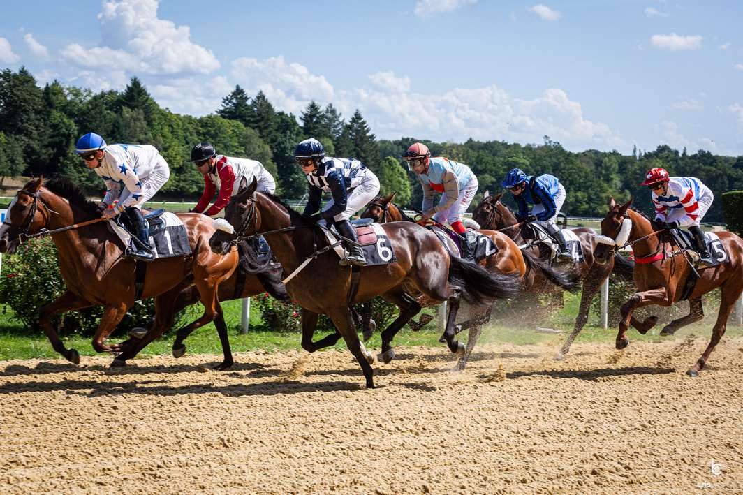 Courses hippiques : Fête du cheval