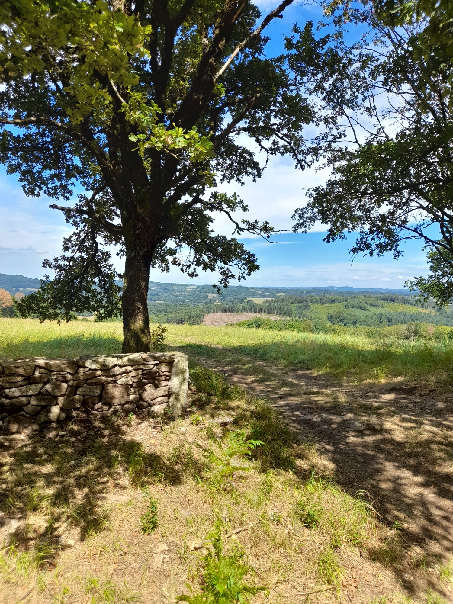 Le Puy du Mas