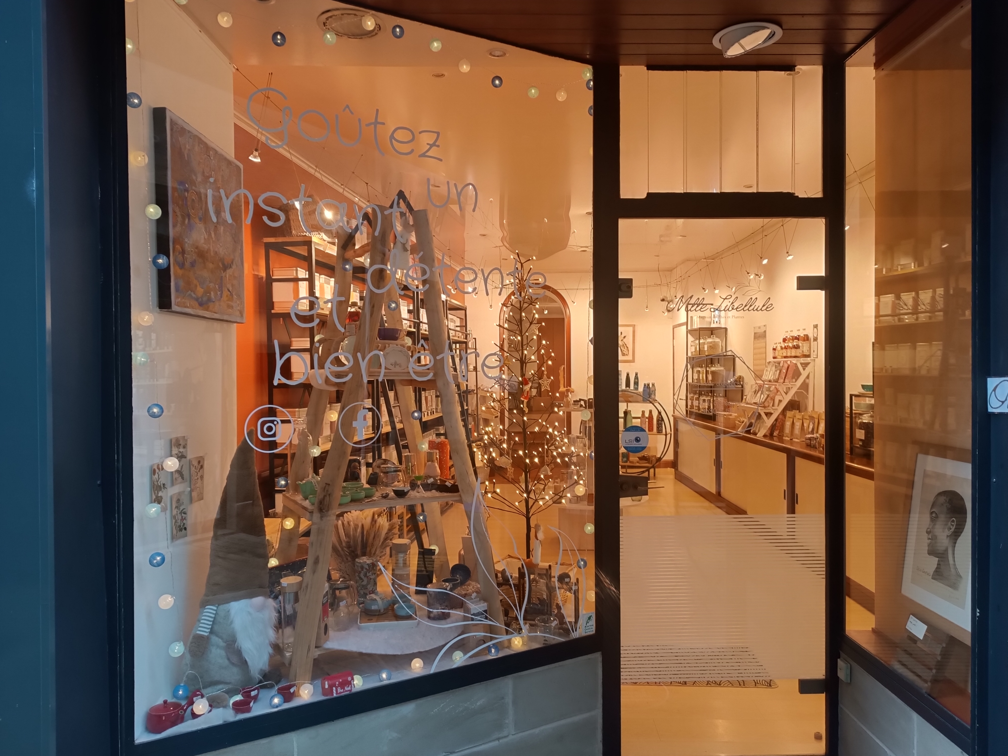 Mlle Libellule - photo 3