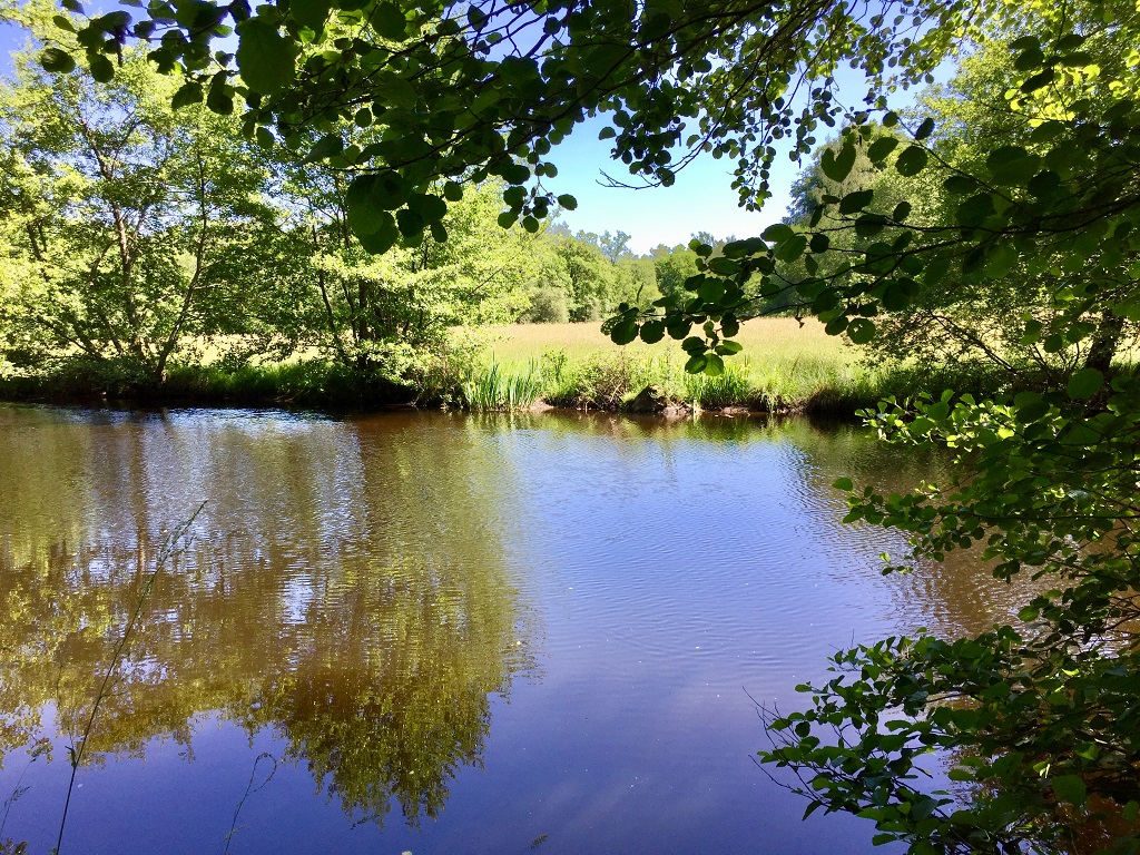 La Vienne et les Gorges de la Vienne