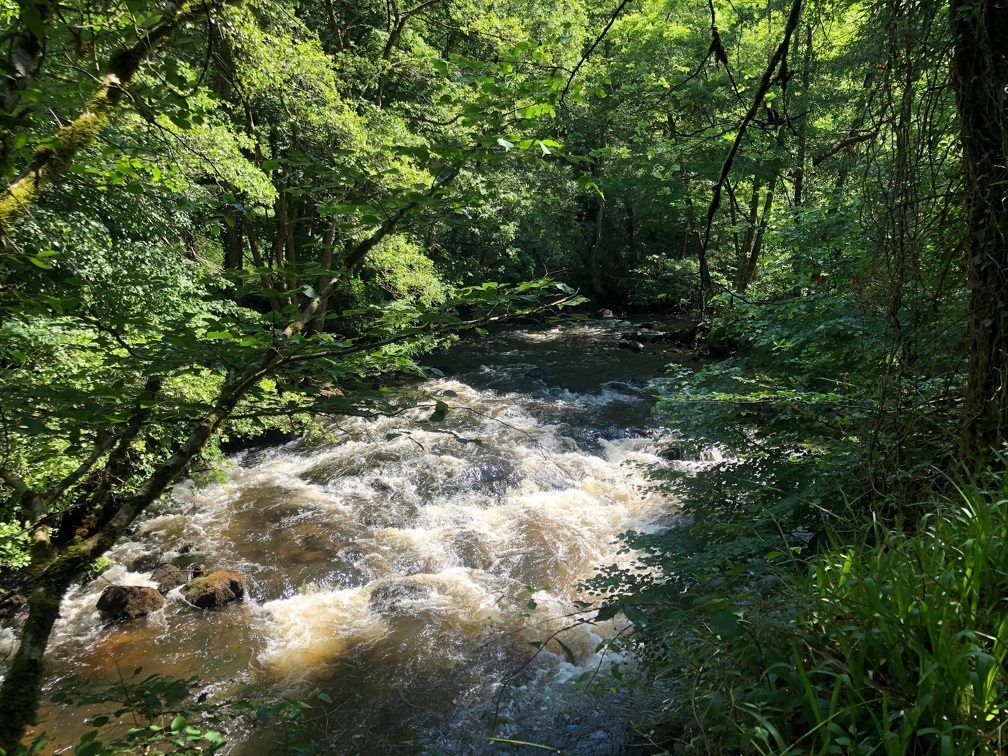 La Vienne et les Gorges de la Vienne