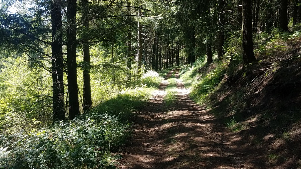 Le Mont Larron