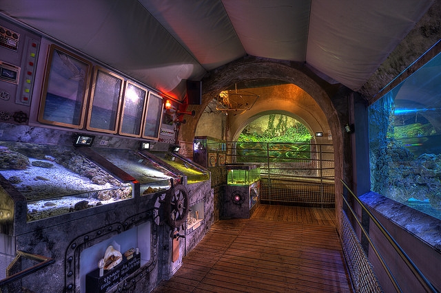 Aquarium du Limousin