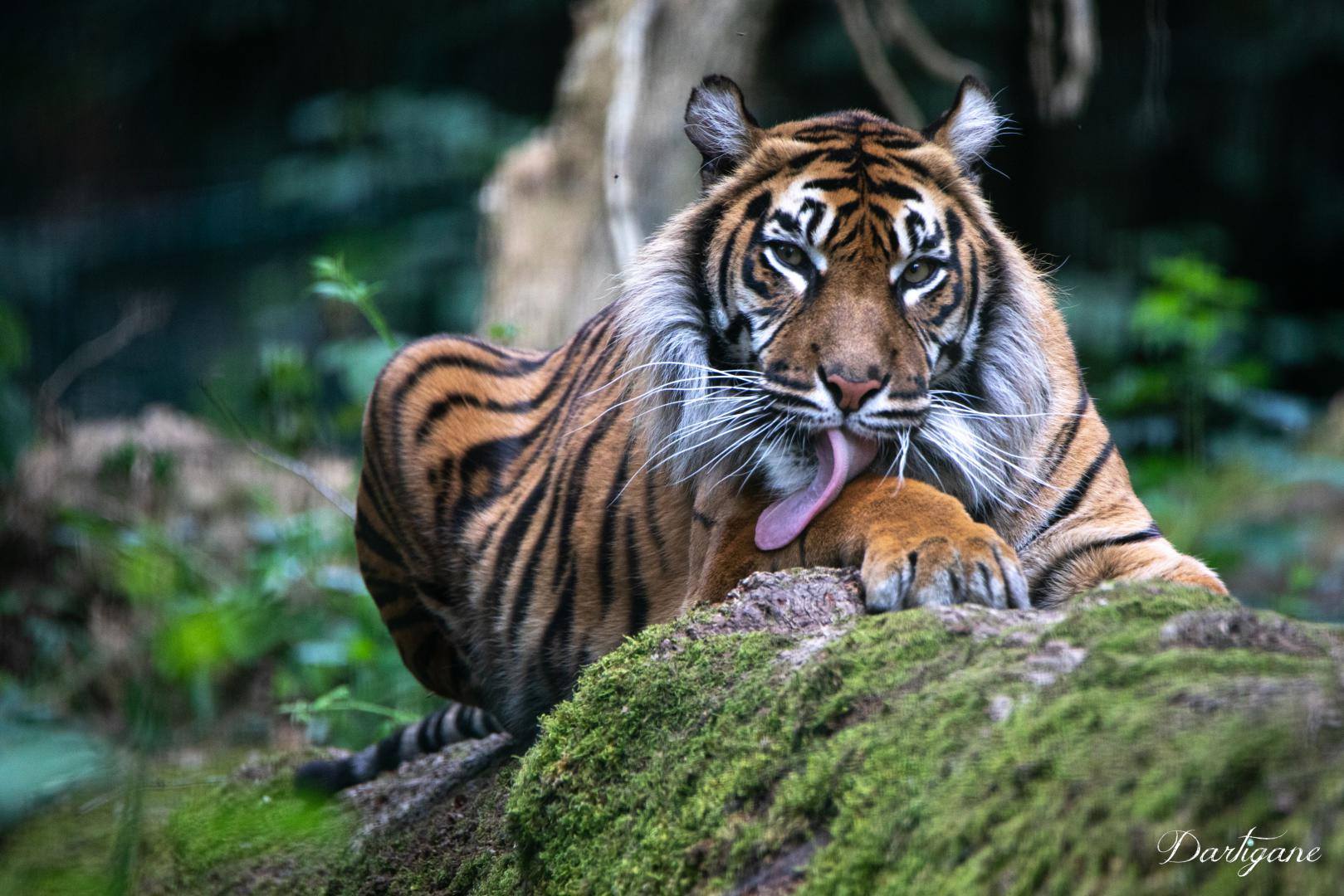 Parc Zoo du Reynou
