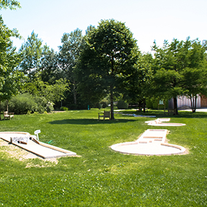 Mini-golf
