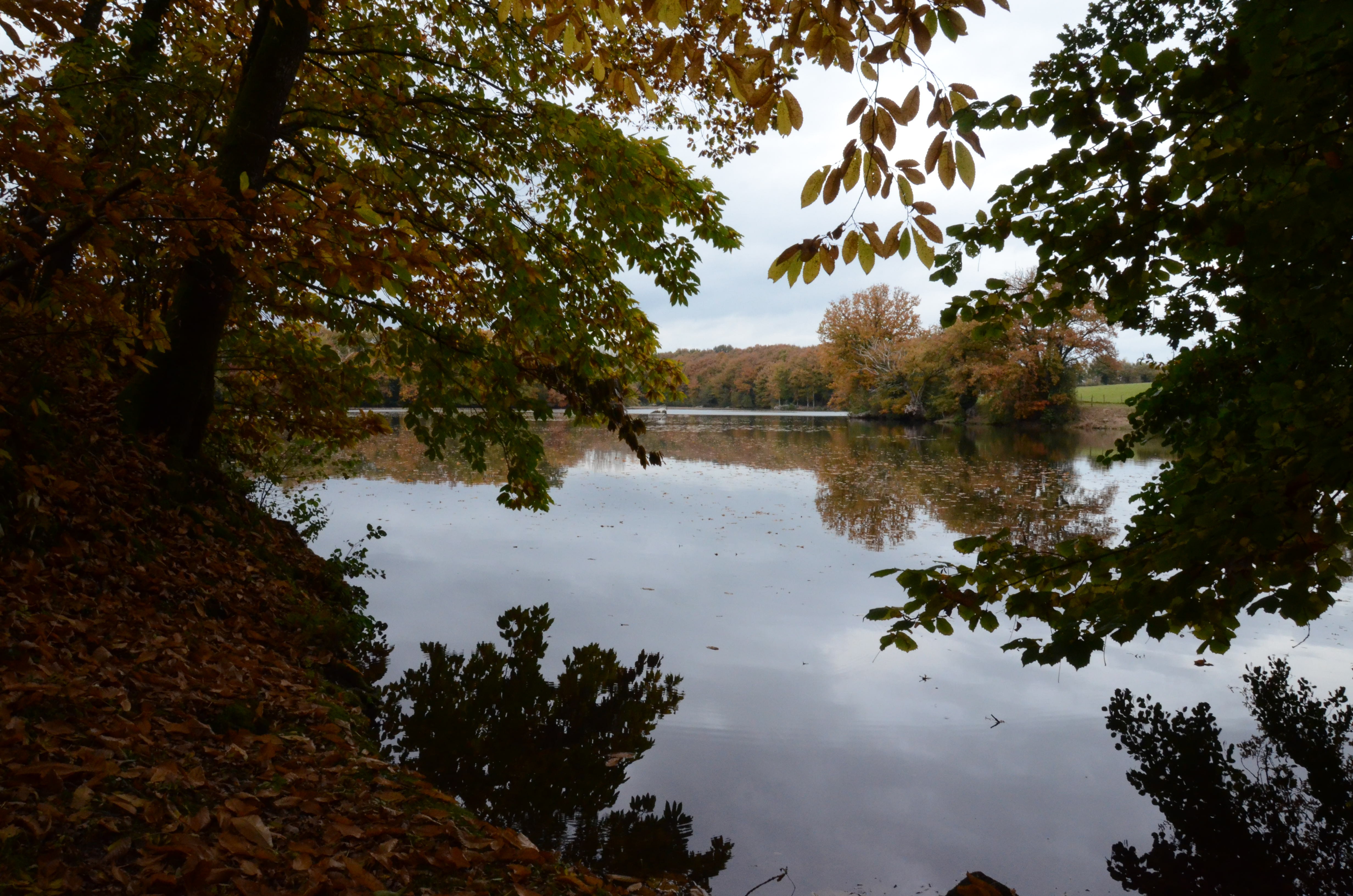 Etang du Bois Pouvreau