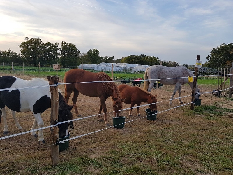 Ferme découverte au Domaine d’Écoline