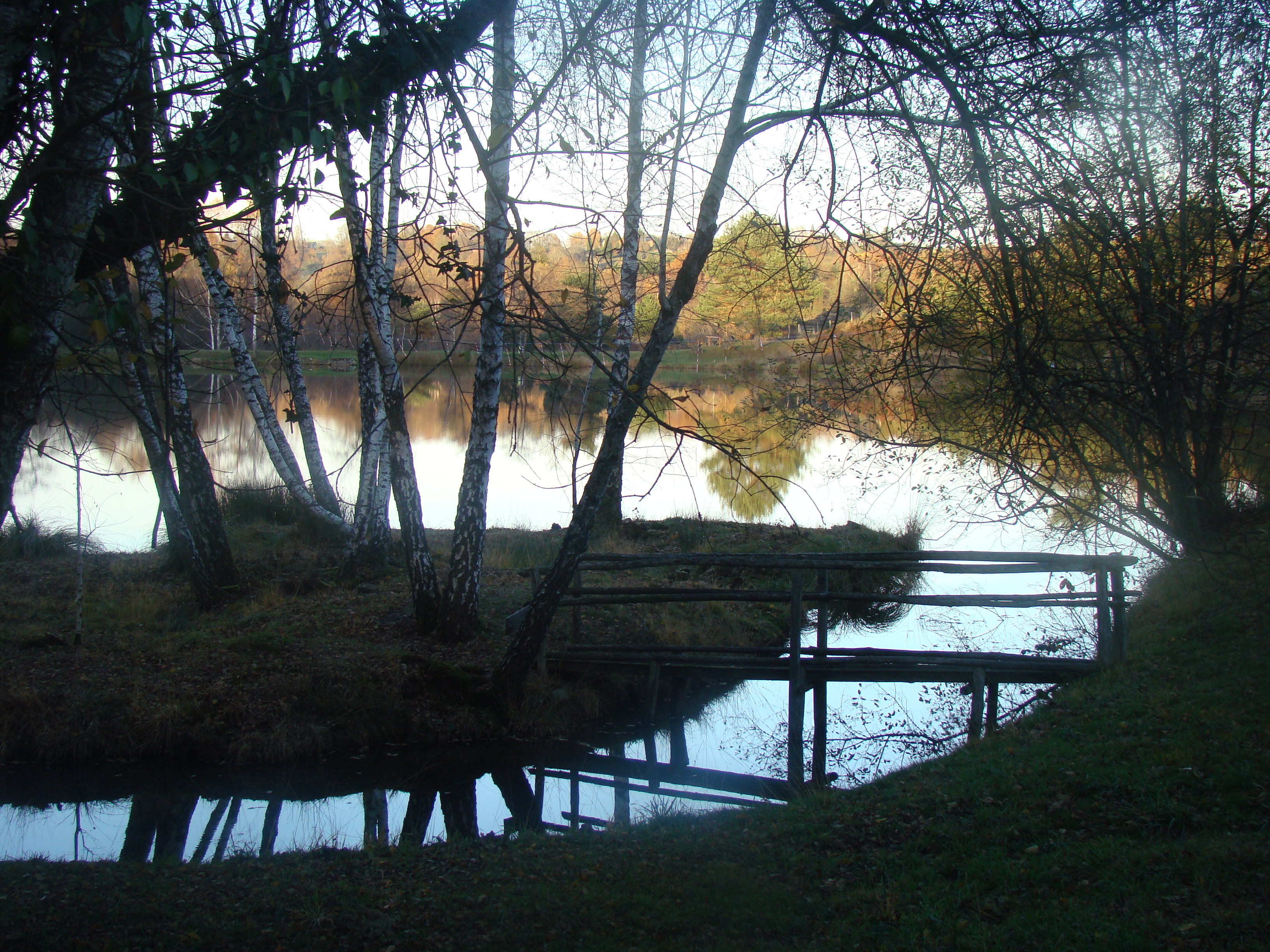 Etang de pêche 'Les Pierres du Mas'  La Porcherie