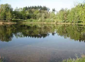 Etang 'Puychaumartin' à Château-Chervix