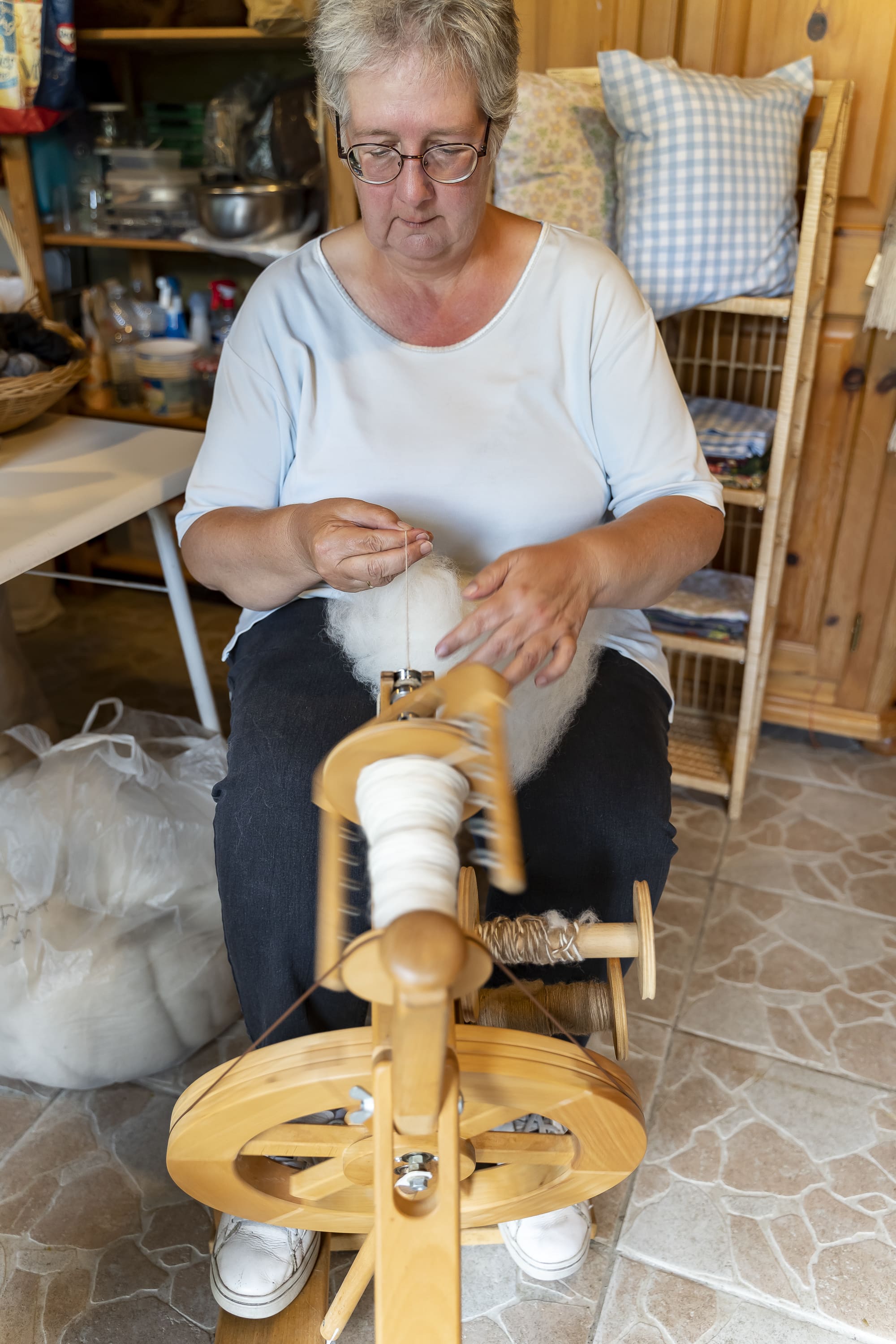 Ferme le Hillot élevage d'alpagas