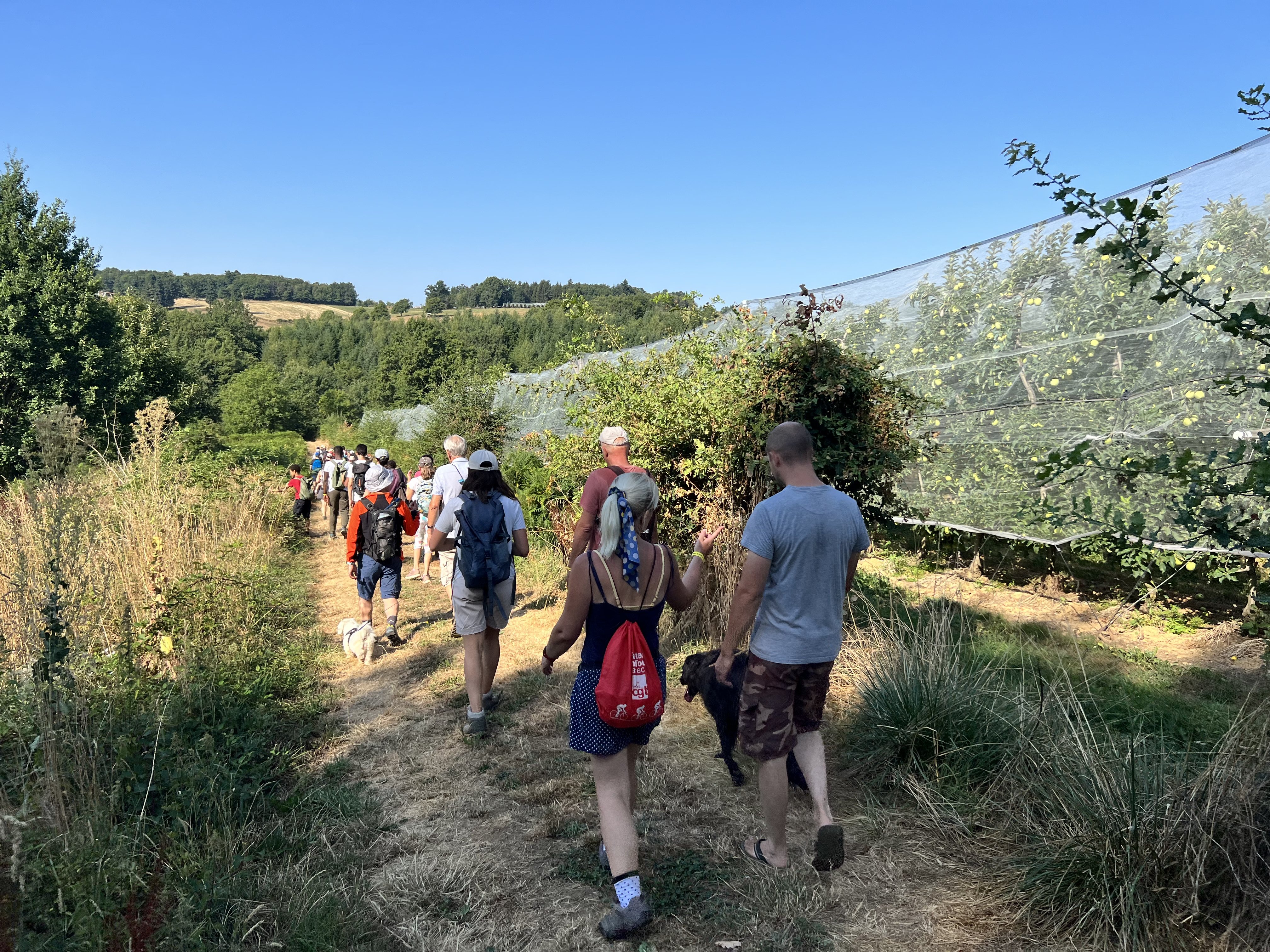 Route de la Pomme du Limousin - Visite verger 2026