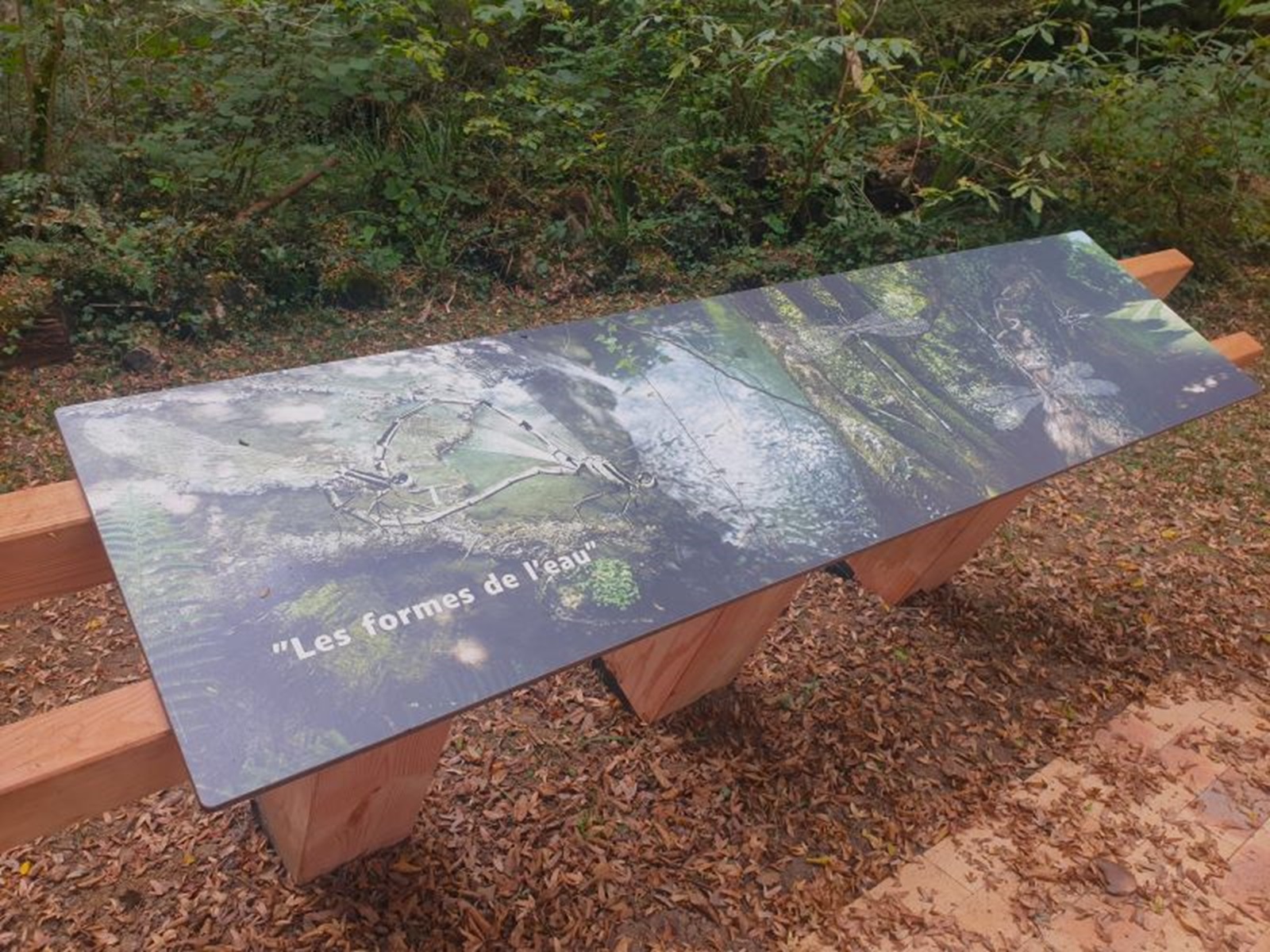 [temporairement interdit d'accès] Domaine nature et de loisirs de Blasimon