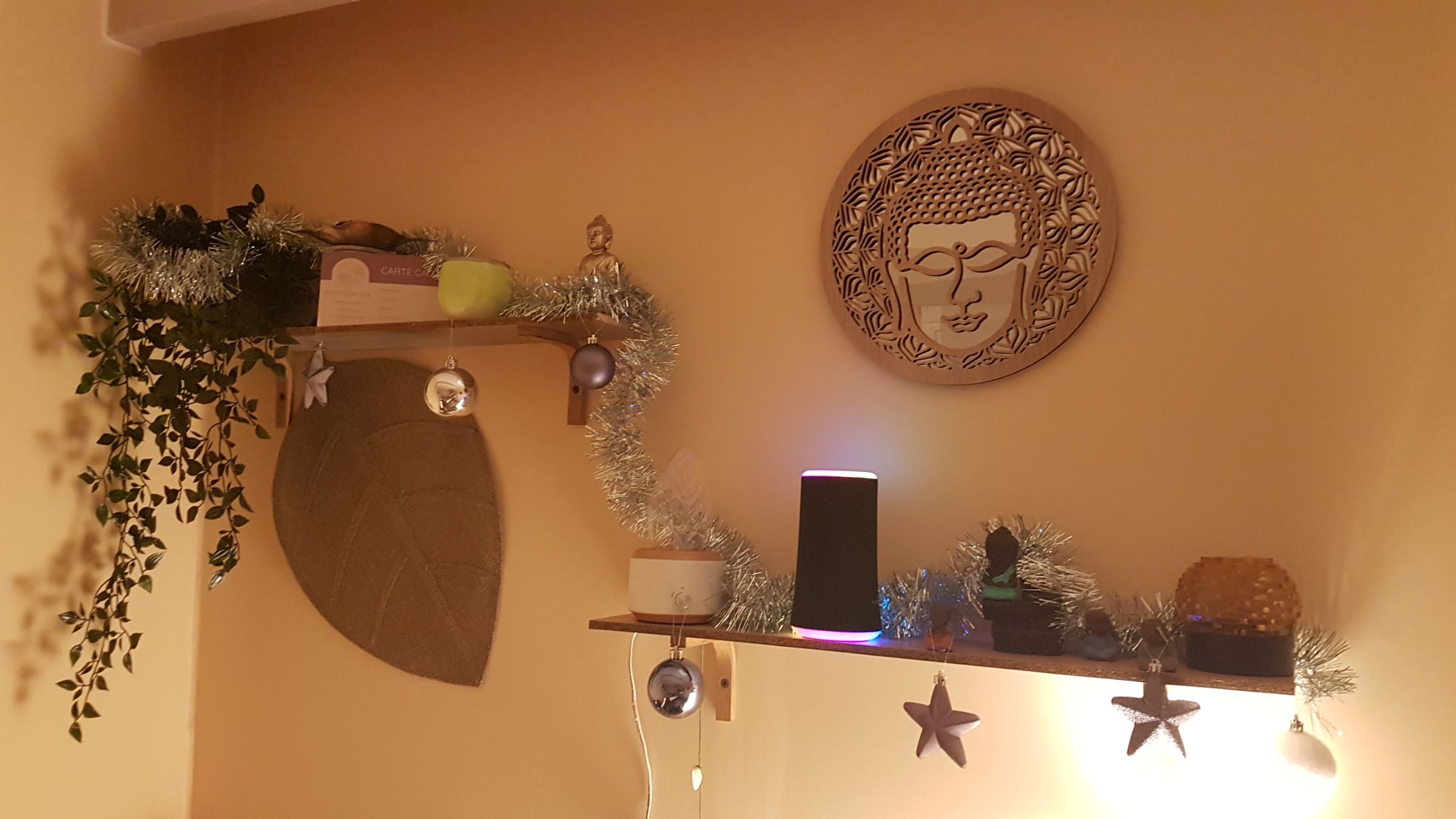 110 Fusion Zen - photo 3