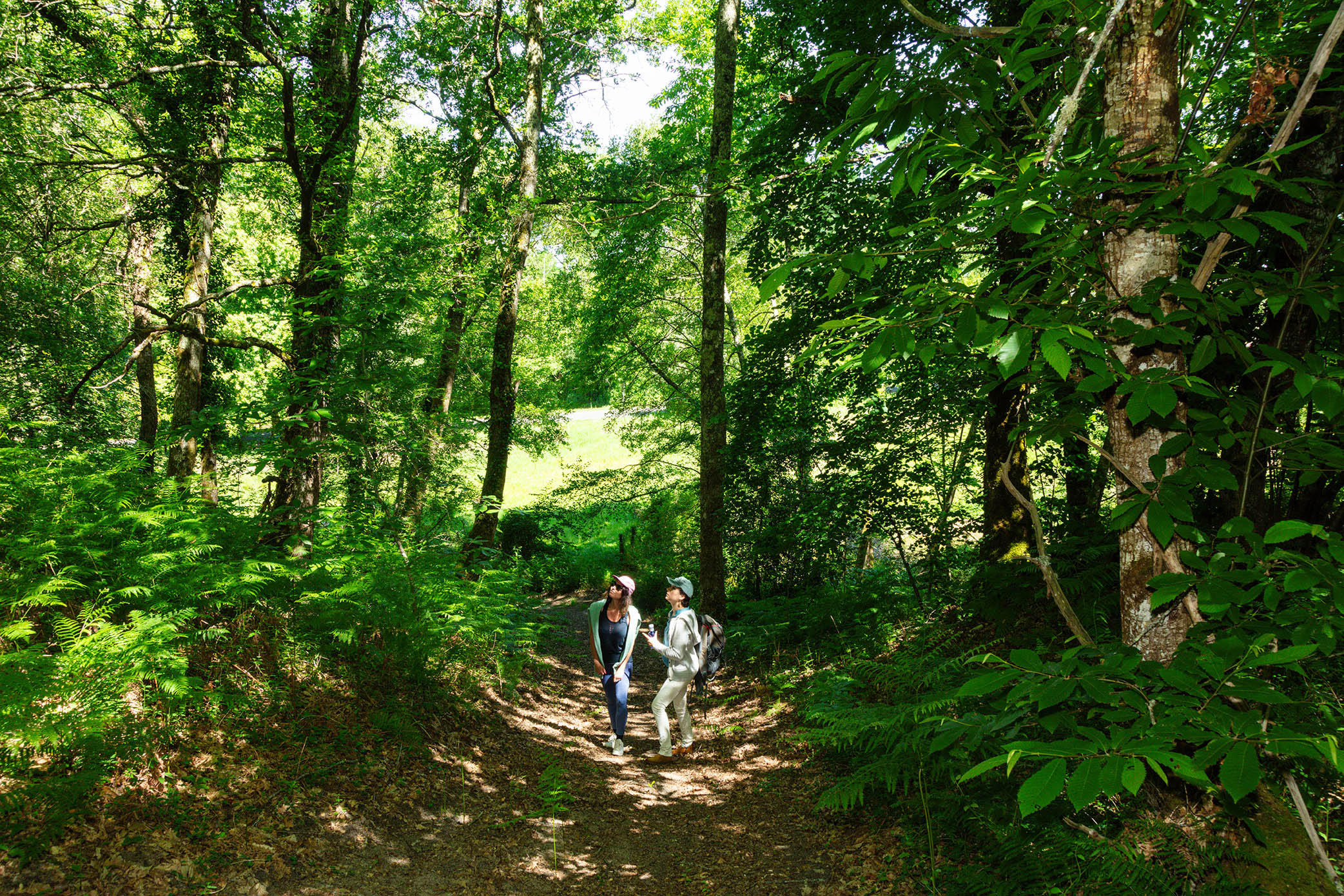 Arboretum