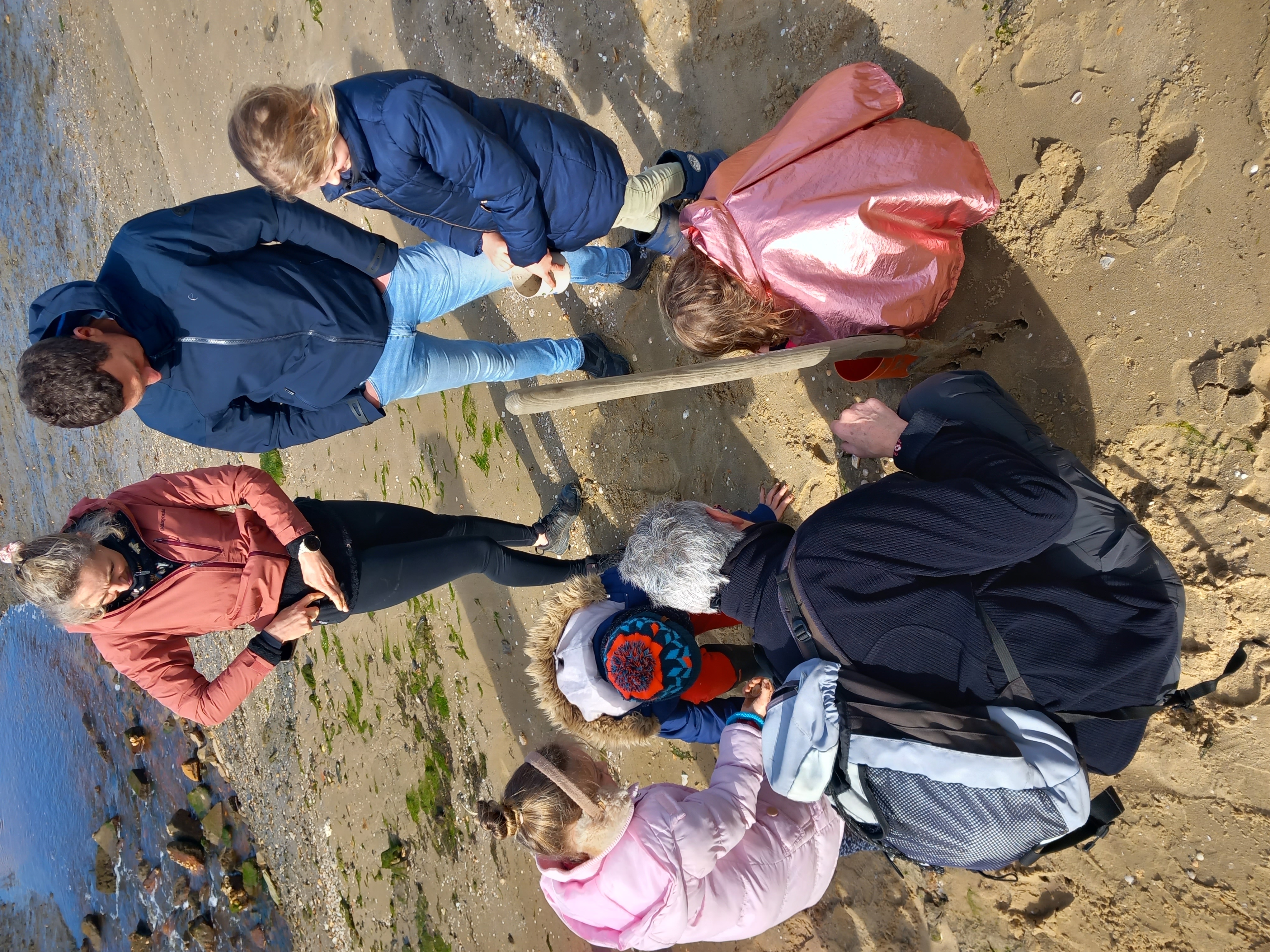 Observer les coquillages