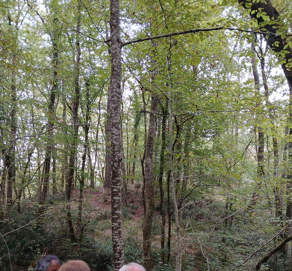 La Motte de Vaudu