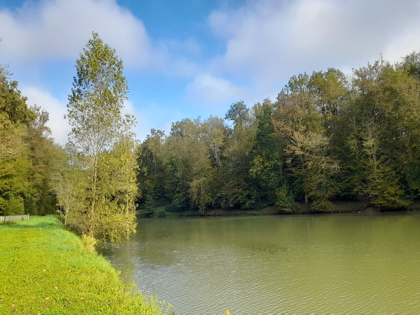 Etang de Caumont