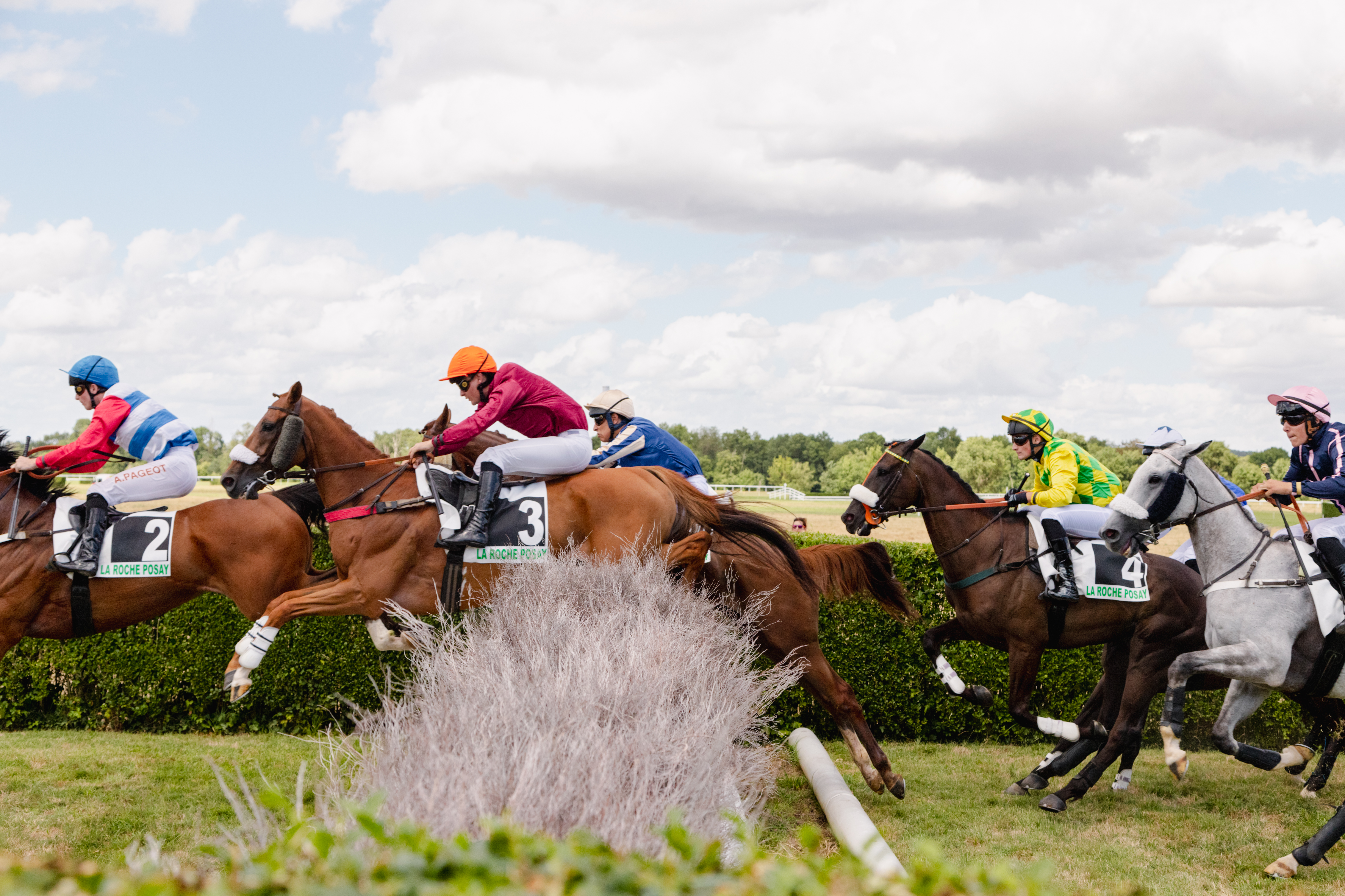 Courses Hippiques Plat/Obstacle