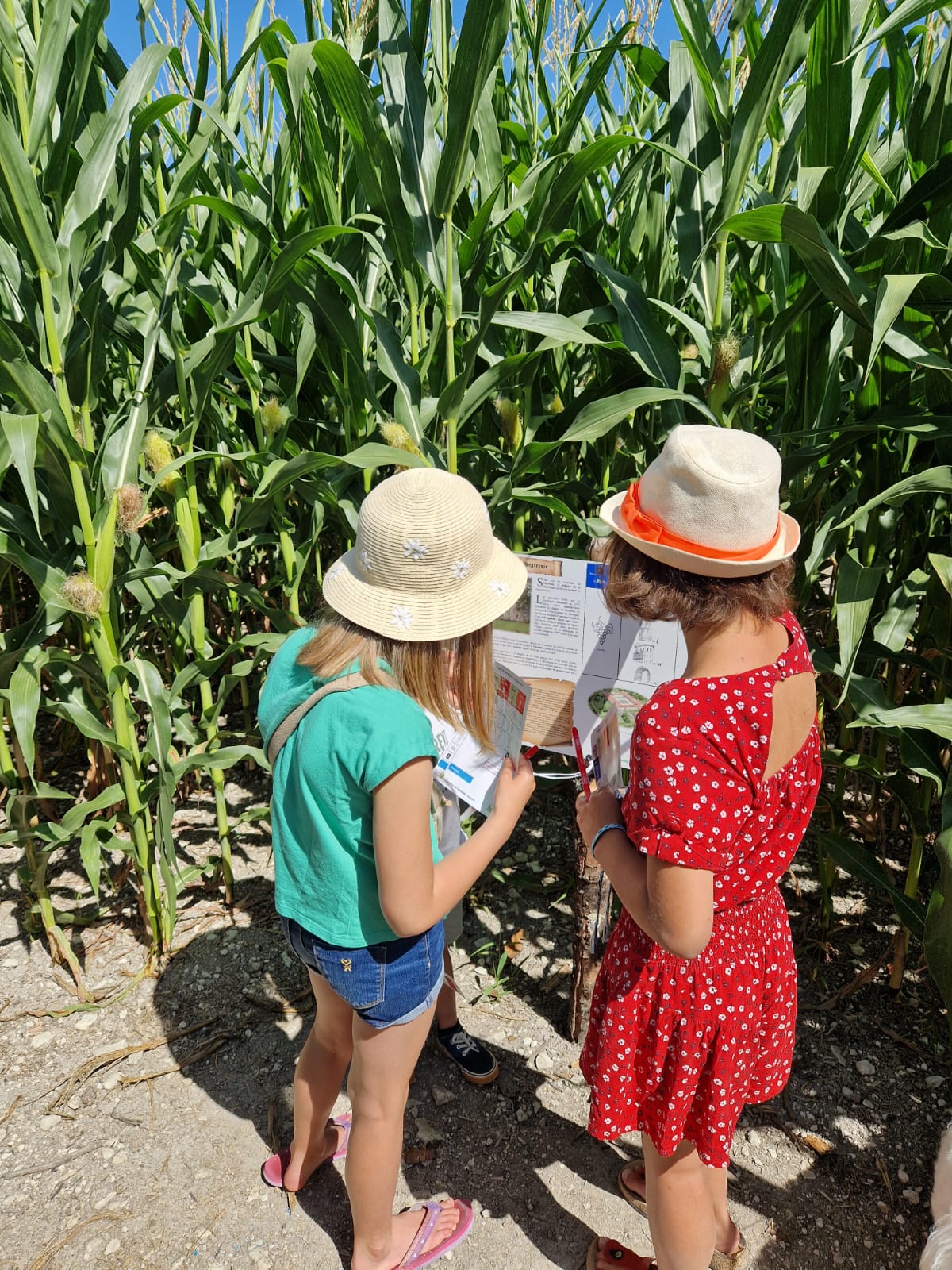 Labyrinthe de Maïs