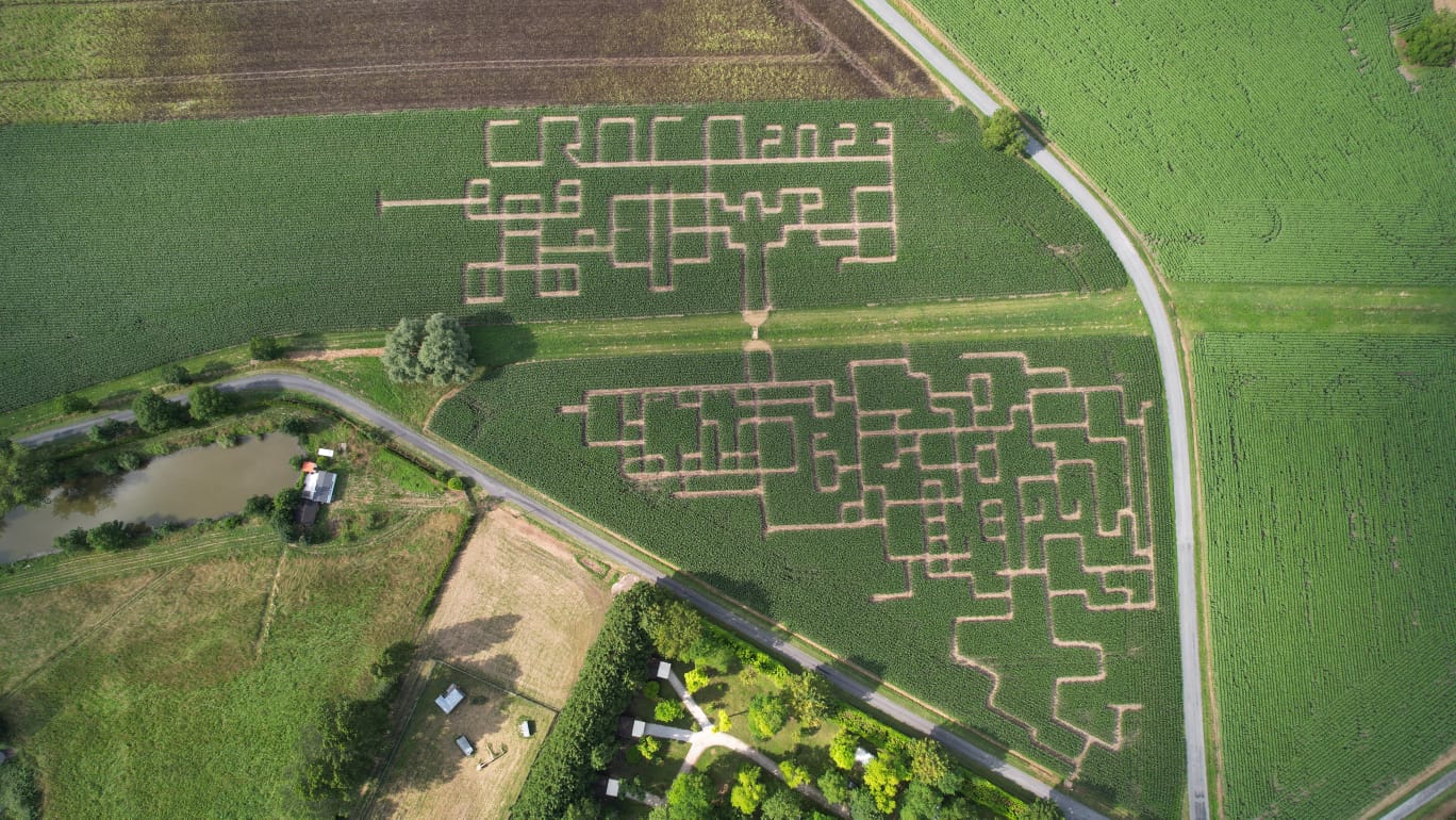 Labyrinthe de Maïs