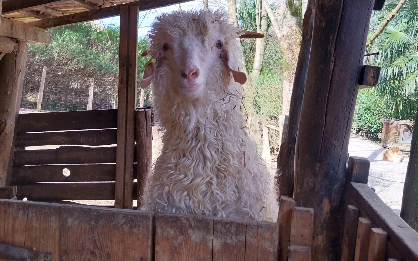 Parc Animalier Etxola