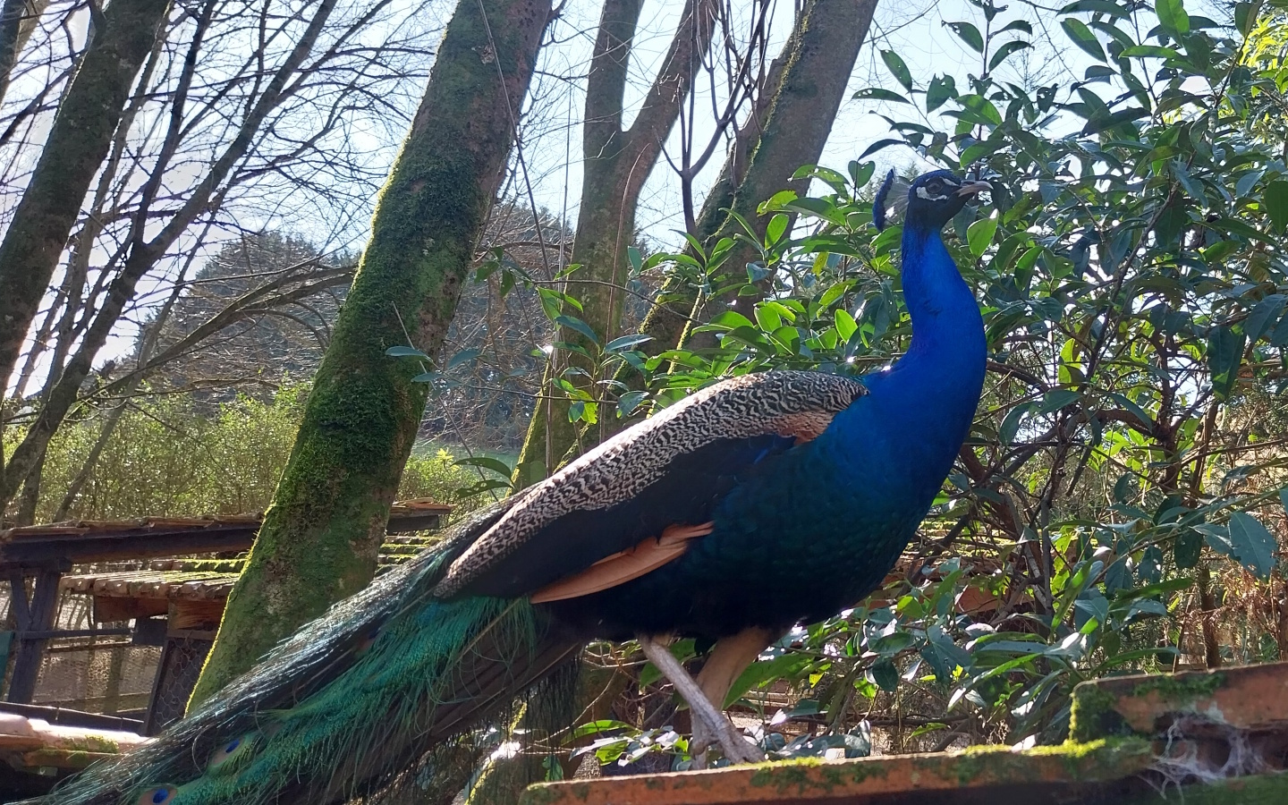 Parc Animalier Etxola