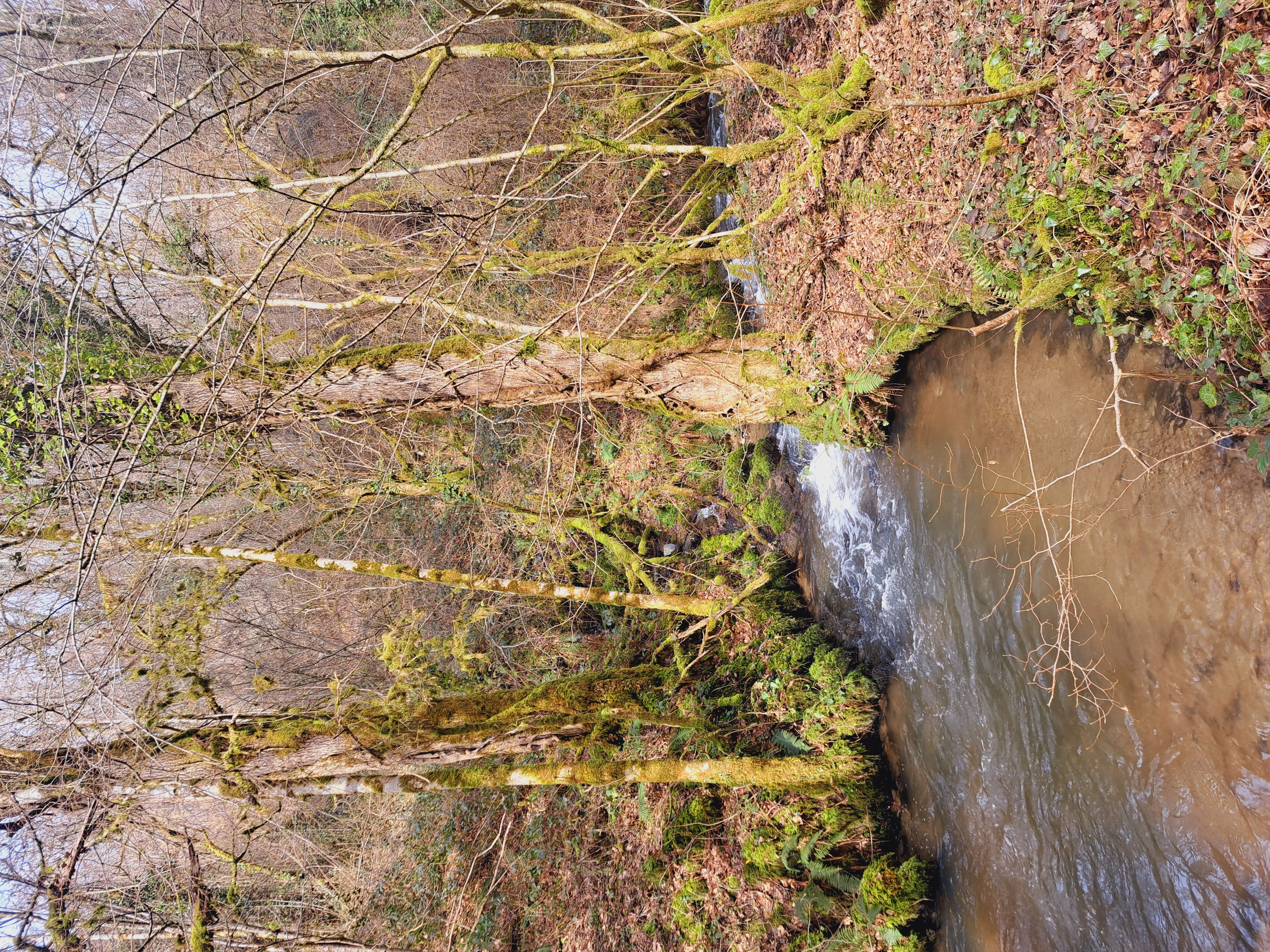 Cascade de la Tine - Concèze