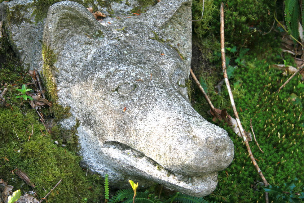 Le Bois de Chabannes